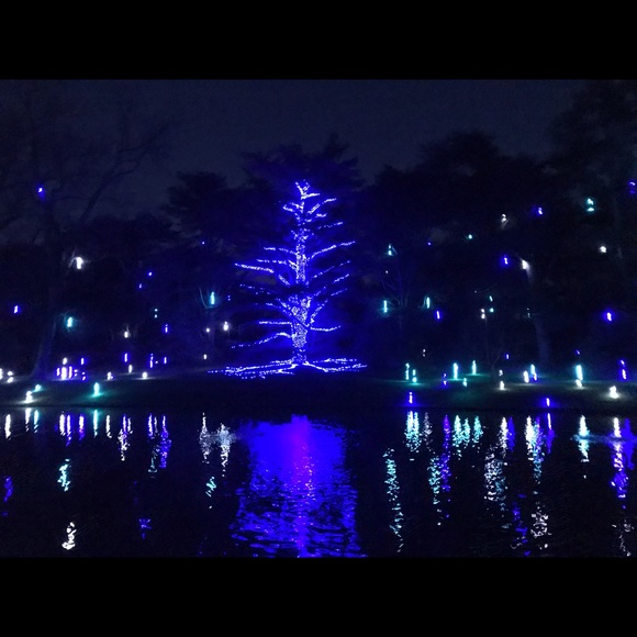 Meet the Posher - Picture 3 of 16